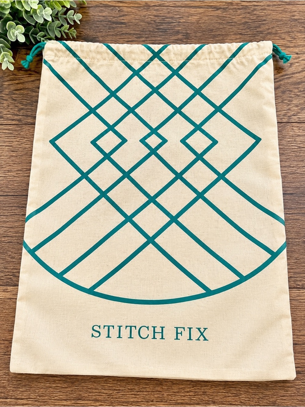 Stitch Fix Canvas Drawstring Dust Bag ✨